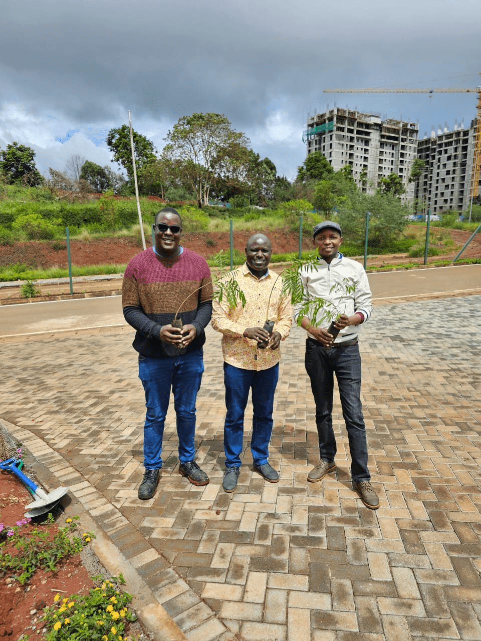 Trre-planting