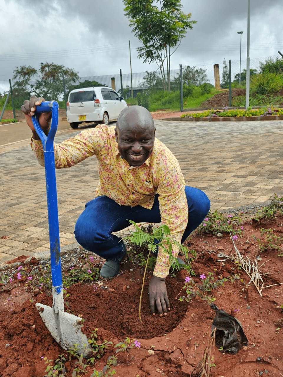 Trre-planting