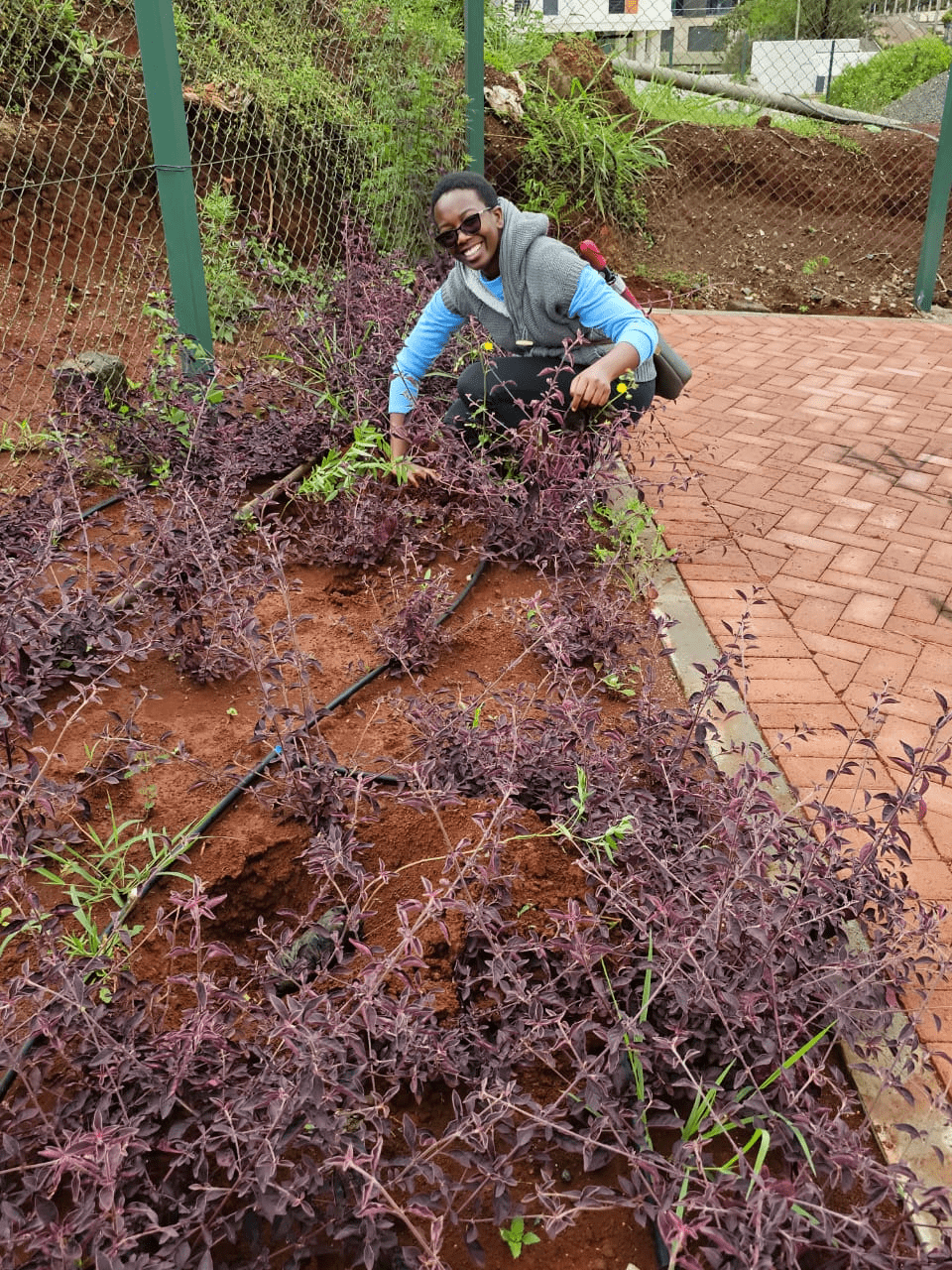 Trre-planting