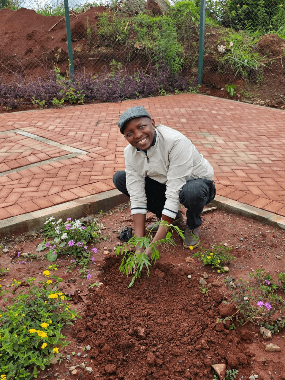 Trre-planting