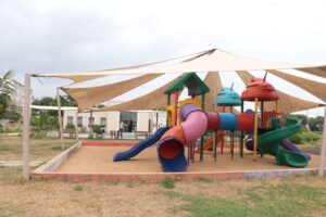 1255 Palm ridge Play area