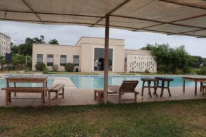 1255 Palm ridge Swimming