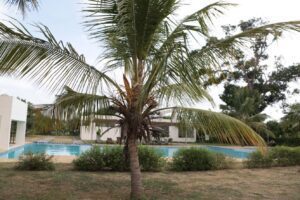 Awali swimming pool