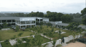 Vipingo Market and Beyond